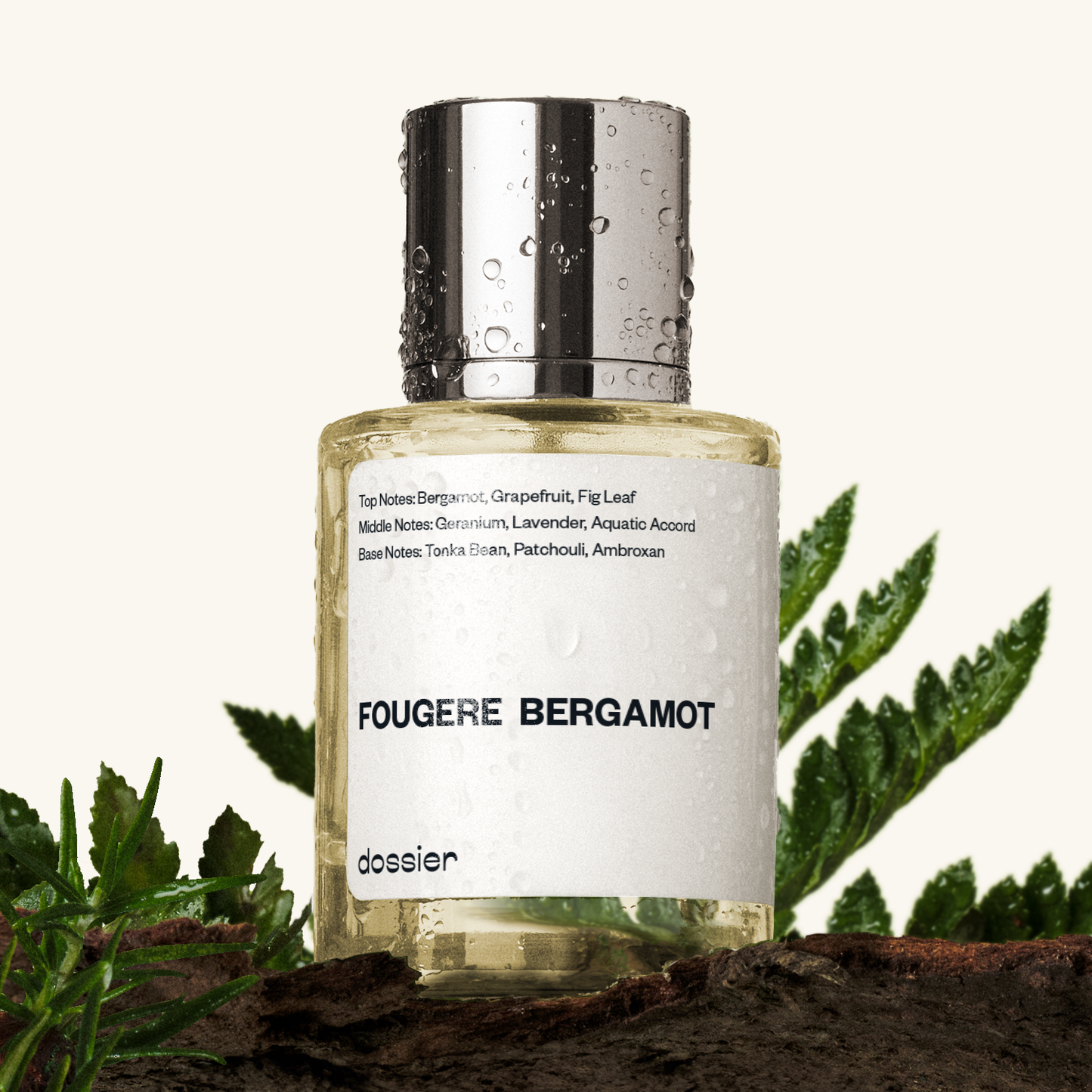 Fougere Bergamot